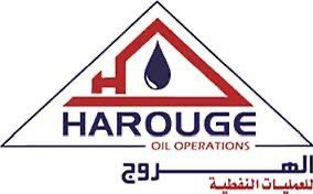 Customer Company Logo